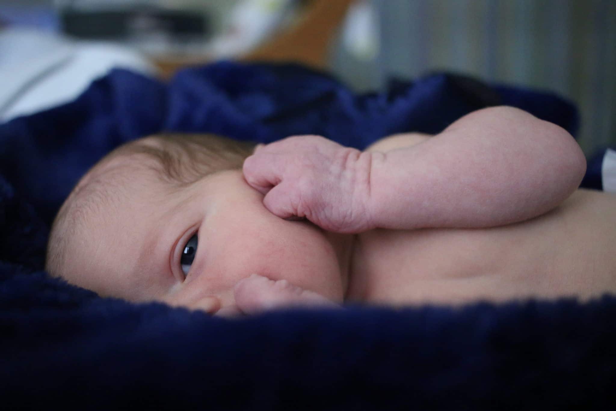 Newborn photo shoot Gilroy, CA